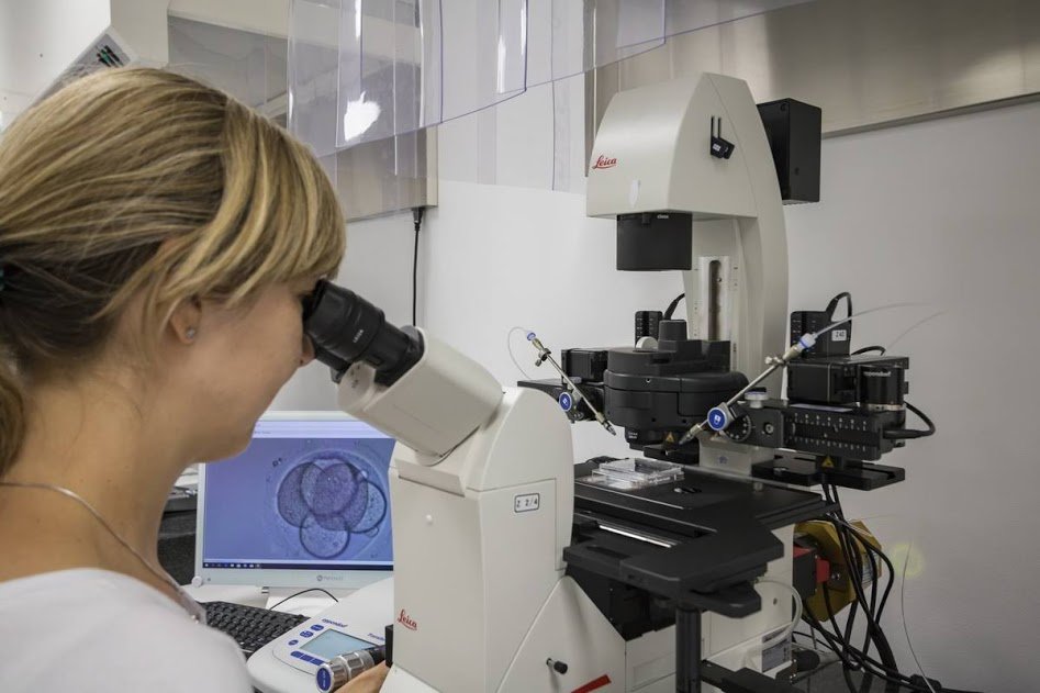 Genetische Untersuchung von Embryonen