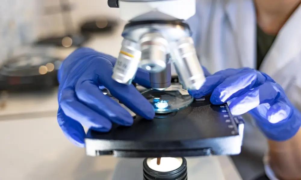 Genetische Pr&auml;implantationstests (PGT)
